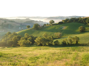 DSCF3522