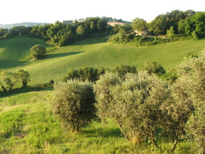 DSCF3549