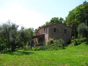 img_6085-w